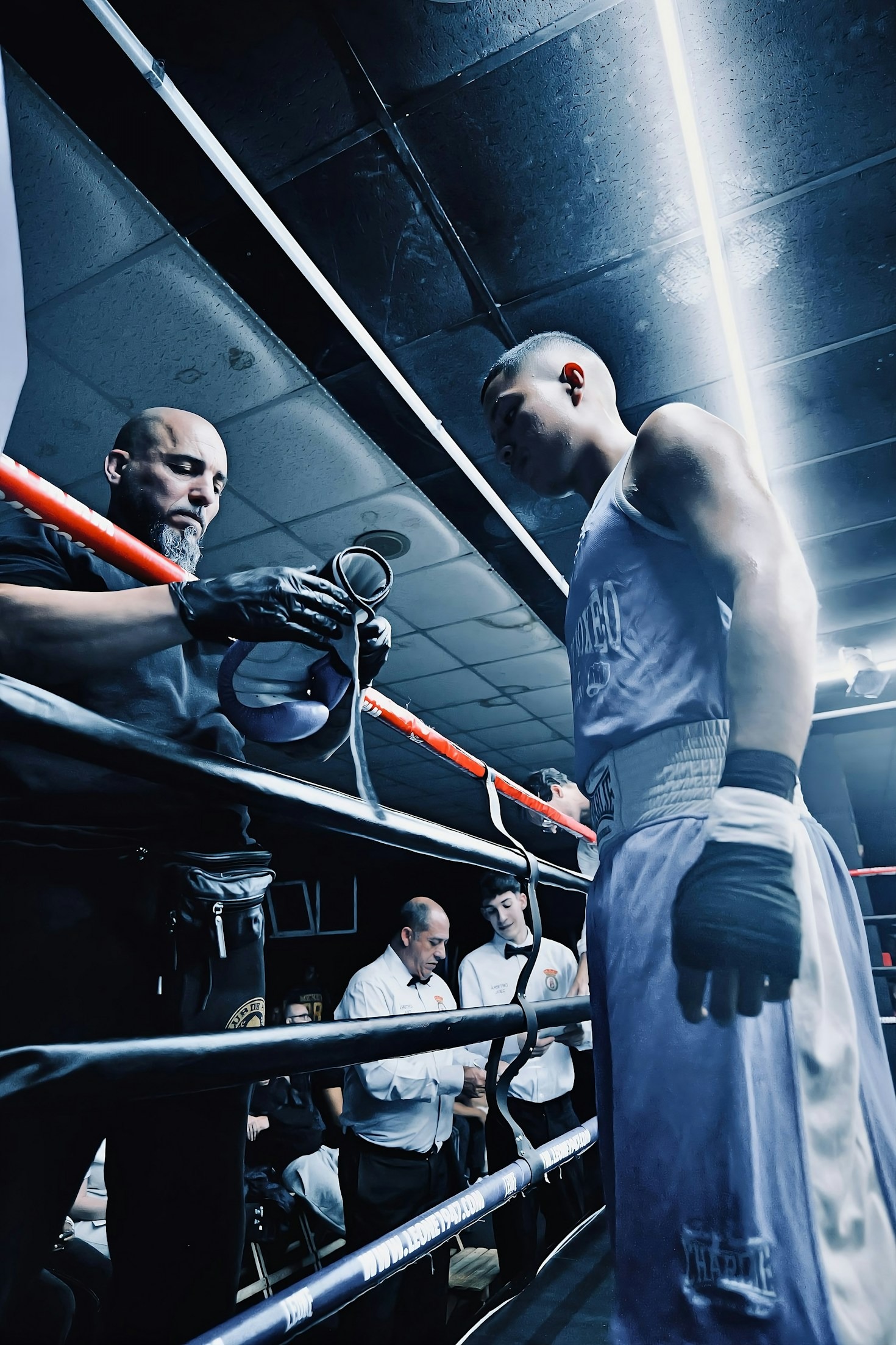 Essential Gear For Aspiring MMA Fighters